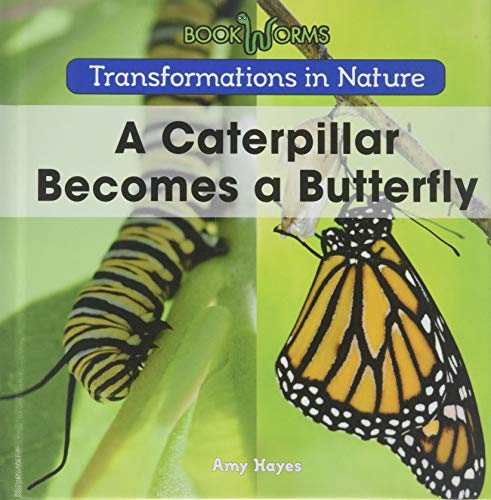 Book cover for A Caterpillar Becomes a Butterfly