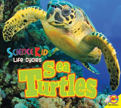 Cover of Sea Turtles