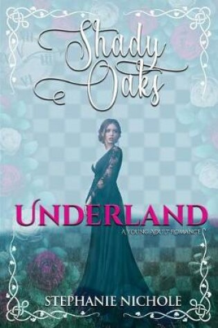Cover of Underland