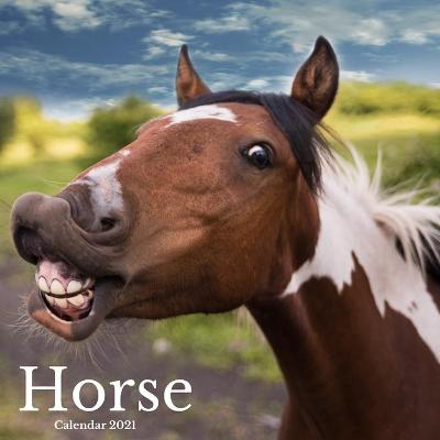 Book cover for Horse Calendar 2021