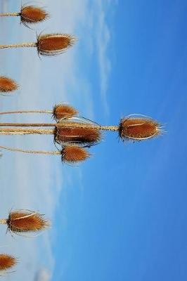 Book cover for Thistle and Blue Skies Journal