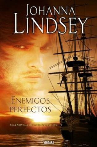 Cover of Enemigos Perfectos