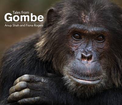 Book cover for Tales from Gombe