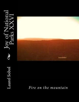 Book cover for Joy of National Parks XXVI