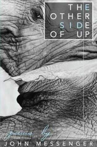 Cover of The Other Side Of Up