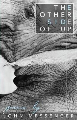 Book cover for The Other Side Of Up