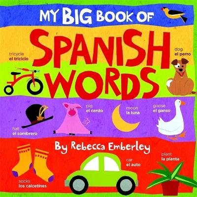 Book cover for My Big Book Of Spanish Words