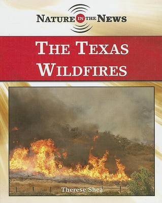 Book cover for The Texas Wildfires