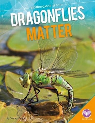 Cover of Dragonflies Matter