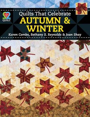 Book cover for Quilts That Celebrate Autumn & Winter