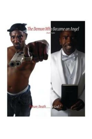 Cover of The Demon Who Became an Angel