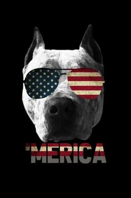 Book cover for Merica