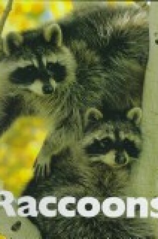 Cover of Raccoons