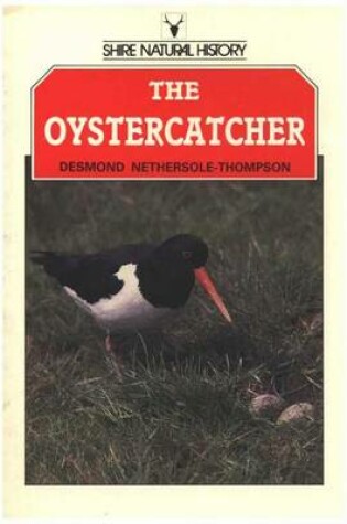 Cover of The Oystercatcher