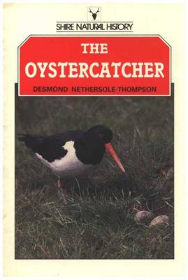 Book cover for The Oystercatcher