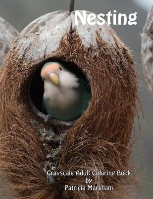 Book cover for Nesting