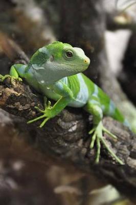 Book cover for Green Iguana in Fiji Journal