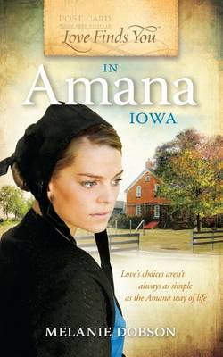 Book cover for Love Finds You in Amana, Iowa