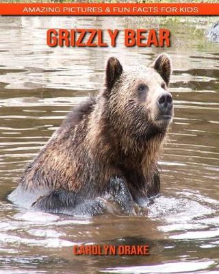 Book cover for Grizzly bear