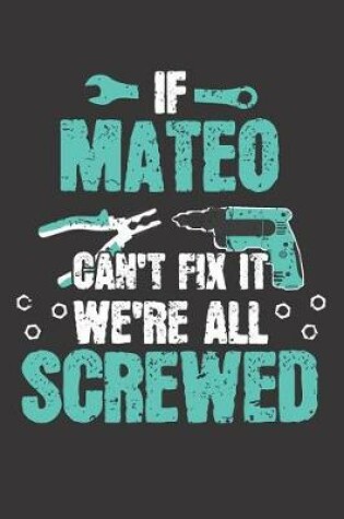 Cover of If MATEO Can't Fix It