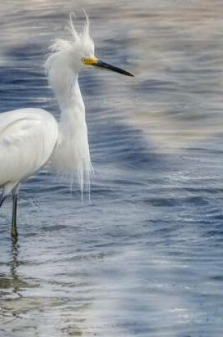 Cover of Snowy Egret Wading in Florida