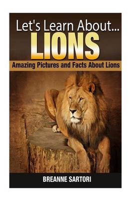 Book cover for Lions