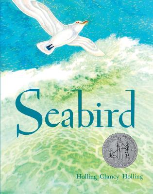 Book cover for Seabird