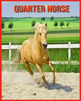 Book cover for Quarter Horse