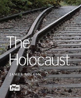 Book cover for Holocaust