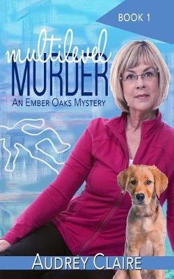 Cover of Multilevel Murder