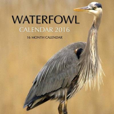 Book cover for Waterfowl Calendar 2016