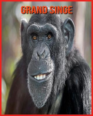 Book cover for Grand Singe