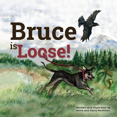 Book cover for Bruce is Loose!