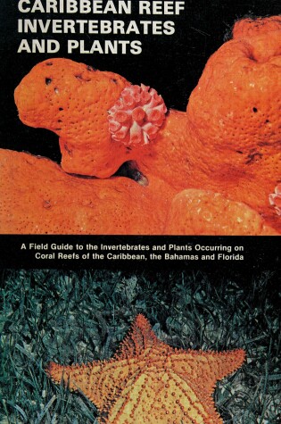 Cover of Caribbean Reef Invertebrates and Plants