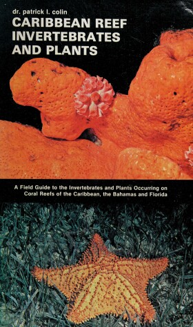 Cover of Caribbean Reef Invertebrates and Plants