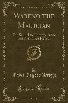 Book cover for Wabeno the Magician