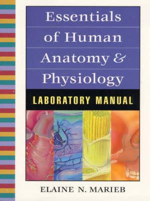 Book cover for Essentials of Human Anatomy and Physiology Lab Manual