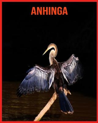 Book cover for Anhinga