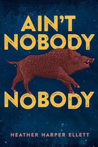 Cover of Ain't Nobody Nobody