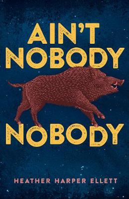 Book cover for Ain't Nobody Nobody