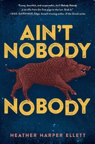 Cover of Ain't Nobody Nobody