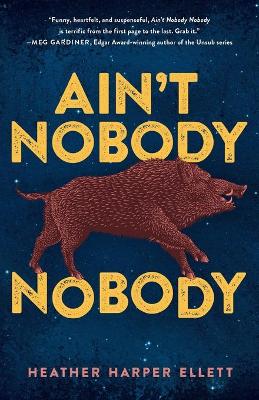 Book cover for Ain't Nobody Nobody