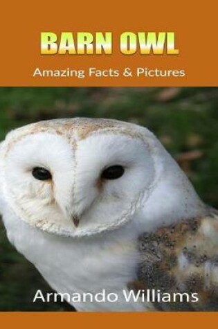 Cover of Barn Owl