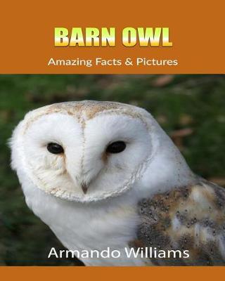 Book cover for Barn Owl