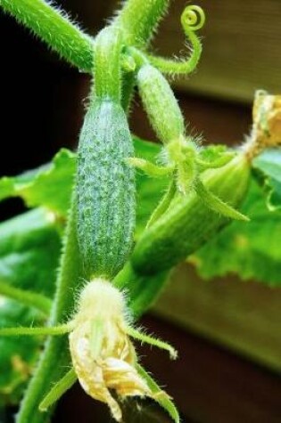 Cover of Baby Cucumbers in the Garden Journal