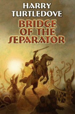 Book cover for Bridge Of The Seperator