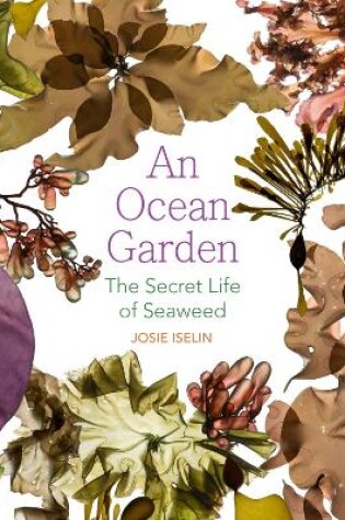 Cover of An Ocean Garden