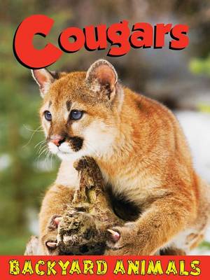 Book cover for Cougars