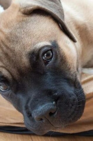 Cover of Cute Bullmastiff Puppy Dog Journal