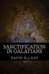Book cover for Sanctification in Galatians